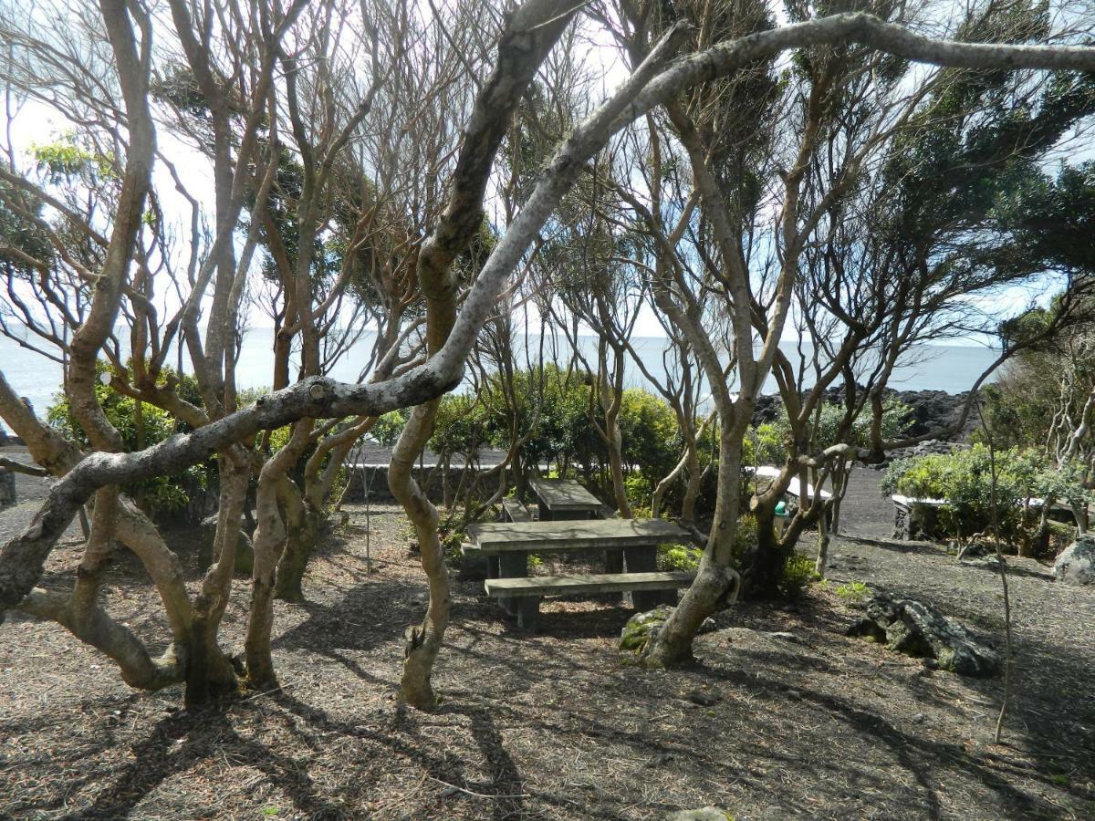 Villa Adega Ninho Da Cagarra Calheta de Nesquim Exterior foto
